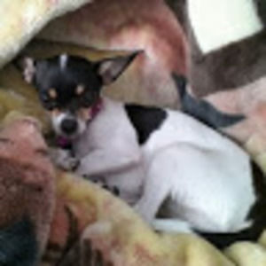 Meet your Posher, Alisa